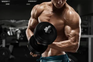 Muscular Body