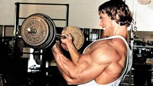 arnold workout 