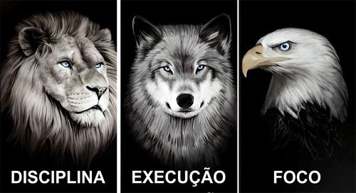 disciplina execucao foco